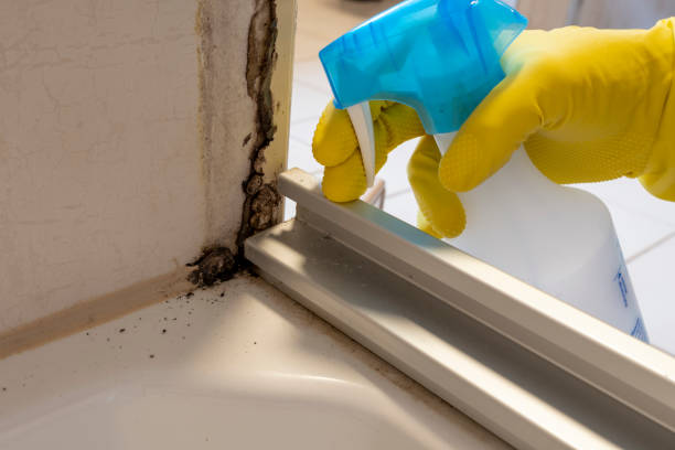 Best Residential Mold Inspection & Testing  in USA